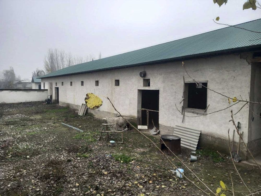 Oziq ovqat don maxsulotlarini qayta ishlash bino va inshoatlari — 4