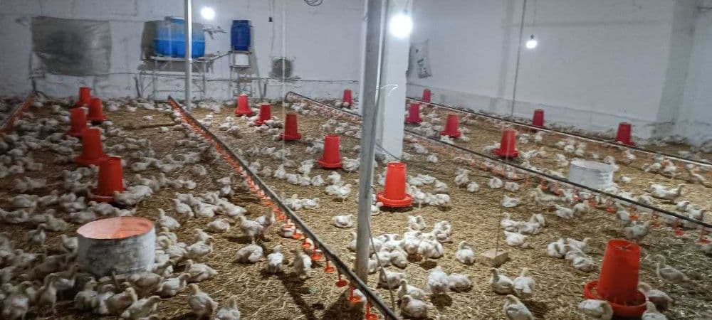 Нотурар ишлаб чикариш корхонаси сотилади — 8