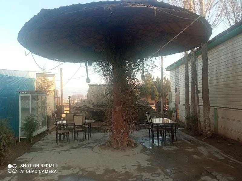 Umumiy ovqatlanish bino-inshoatlari (jihozlarsiz) — 2