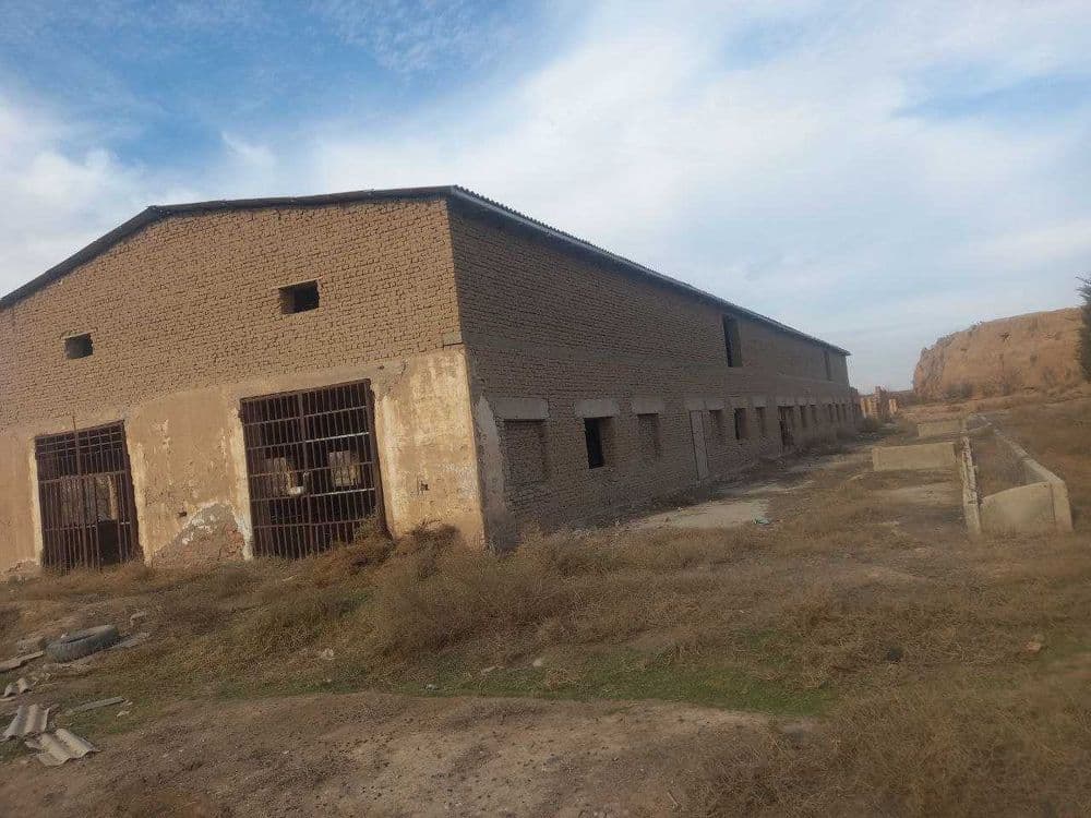 Ikki qavatli molxona binosi omborxona inshoatlari — 5