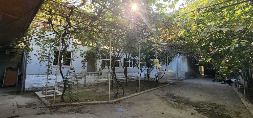 Мехмонхона биноси — 3