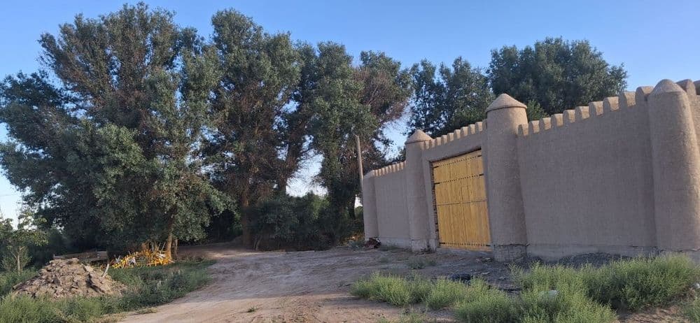 Ogaxiy yoli boyida tayyor ferma sotiladi — 1