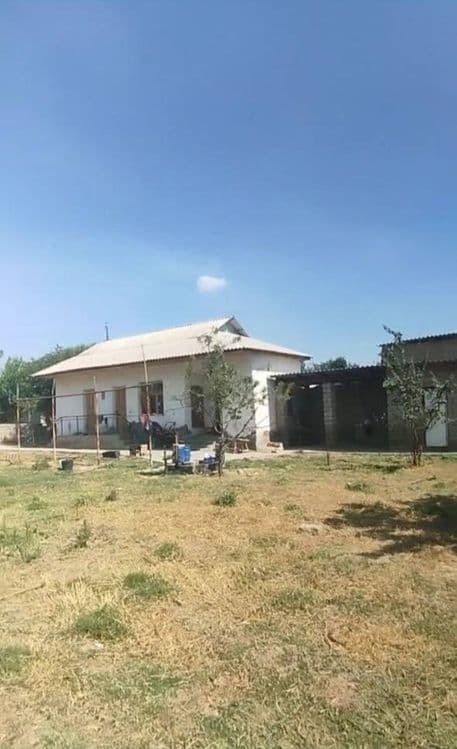 Продаётся Дача своя Таш область Аккурган рядом с рекой сирдарья 6-сот — 1