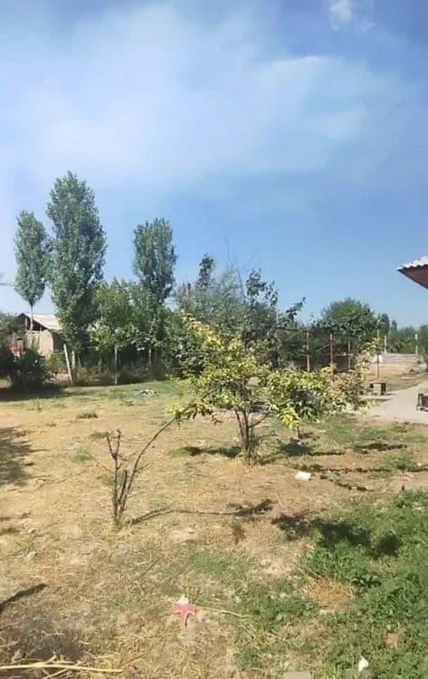 Продаётся Дача своя Таш область Аккурган рядом с рекой сирдарья 6-сот — 3