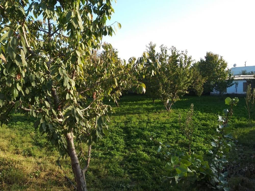 Участок   Назарбек 13соток кадастр есть,  сотка 9000$  газ свет вода. — 3