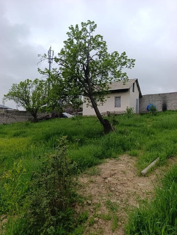 Арзон жой паркент новбохорда — 1
