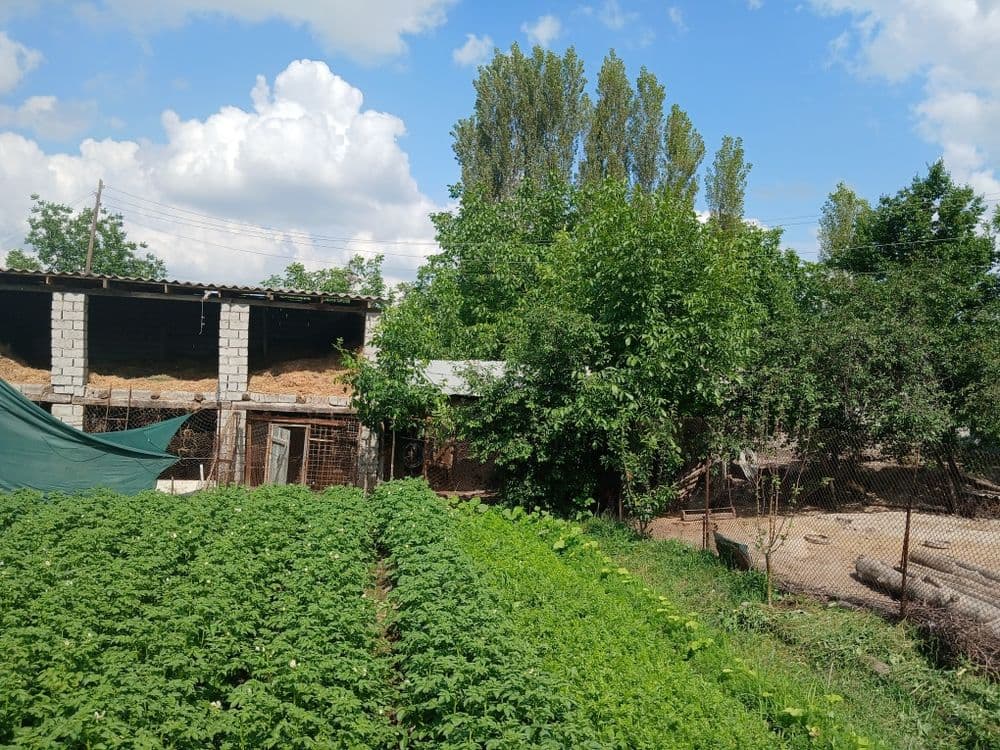 Участка сотилади СУРУМДА — 2