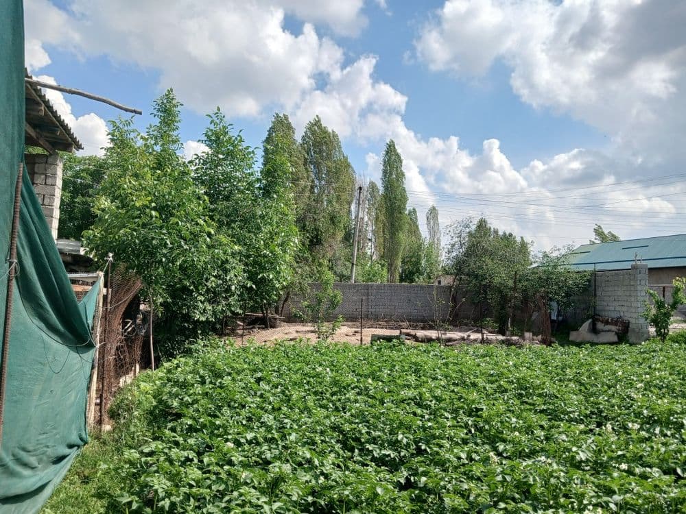 Участка сотилади СУРУМДА — 4