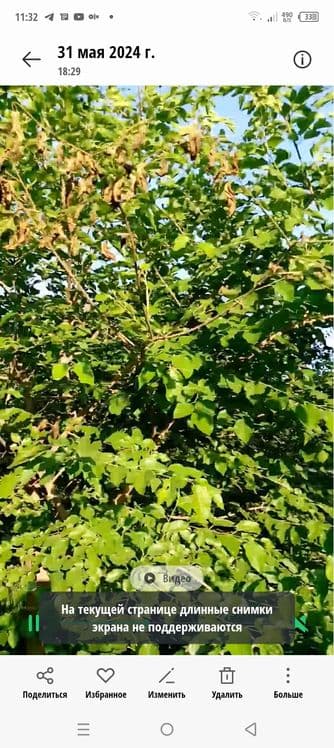 Сотилади участка 3 сотих ва времянка  Билан 14кв,м, — 2
