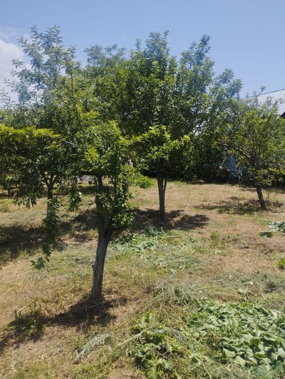 Продается участок 6 соток — 5