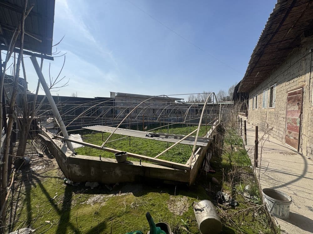Srochno Tayyor Ferma arzon narxda  sotiladi — 5
