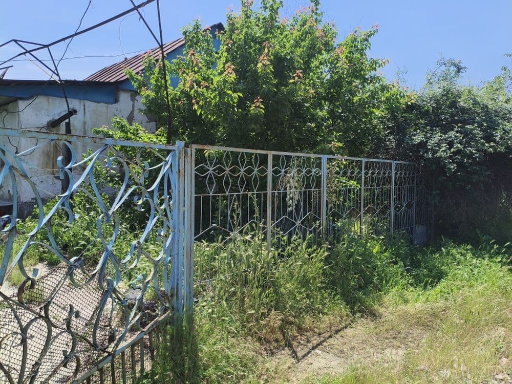 Дача возле ташморя — 1