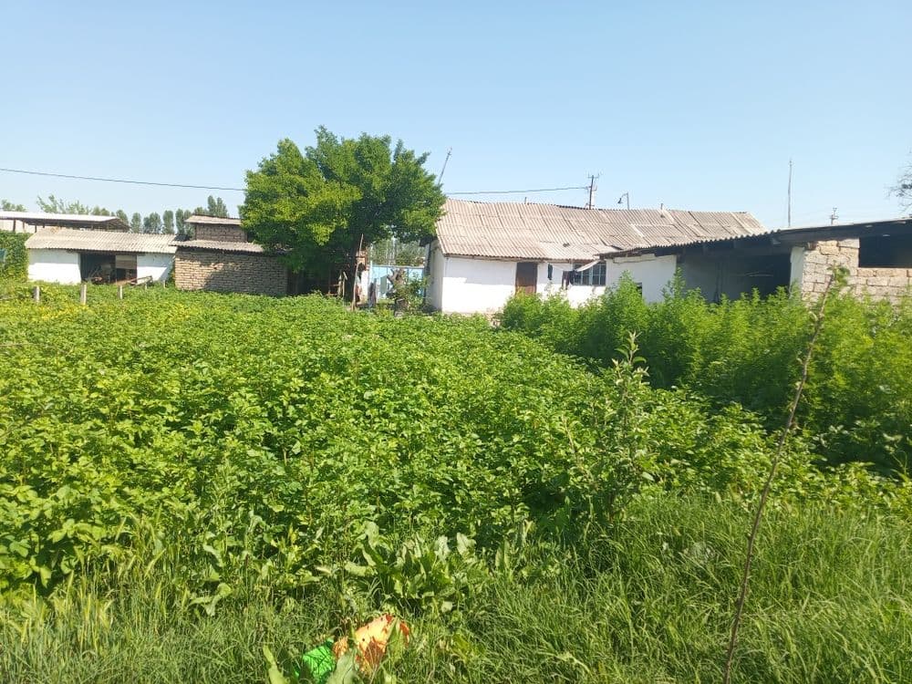 К,уйичирчик, туманида уй сотилади. — 2