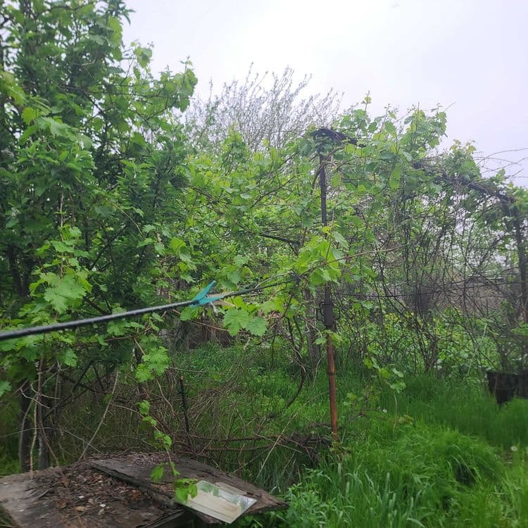 Продаётся дача-ферма 24 соток, dacha-ferma, 24 sotix sotiladi — 5