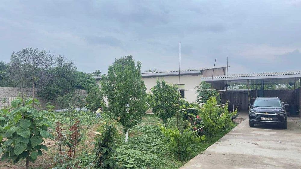 Дача недалеко от Ташкента в Пискентском  районе — 1