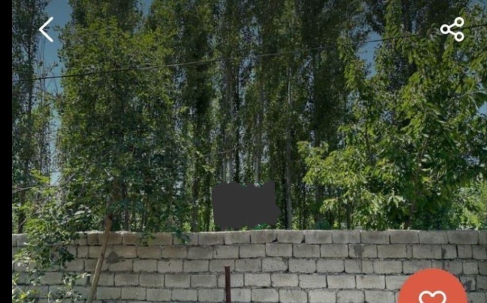 Куйи чирчик туманида дача — 3