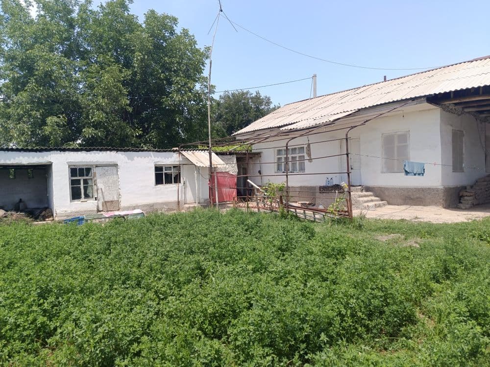 Toshkent dengizi atrofidan 30 soʻtxli kadastr xujatlariga ega xovli — 3