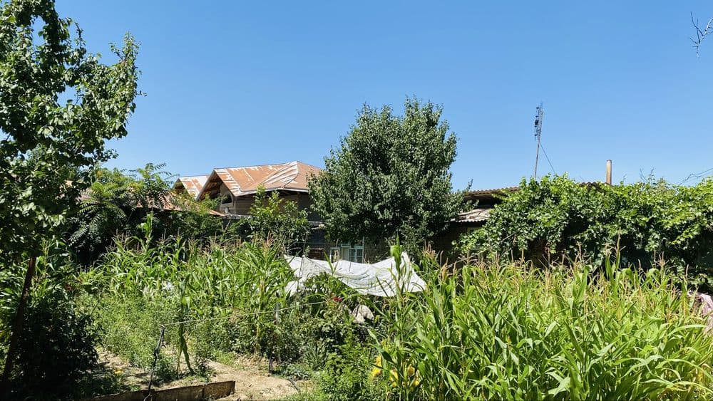 Srochna xovli sotiladi — 5