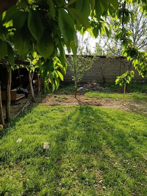 Срчоно Арзон уй Янгийул  9 сотих 5 хона, 37000 нархи — 2