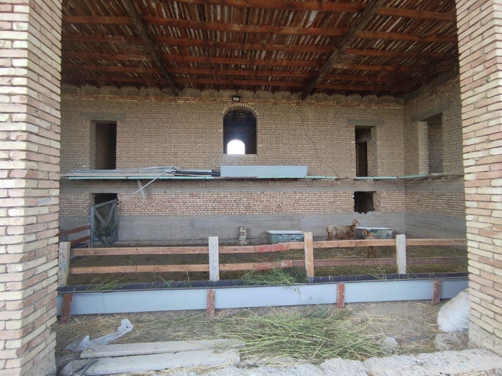 Uchaska sotiladi 61 sotik — 1