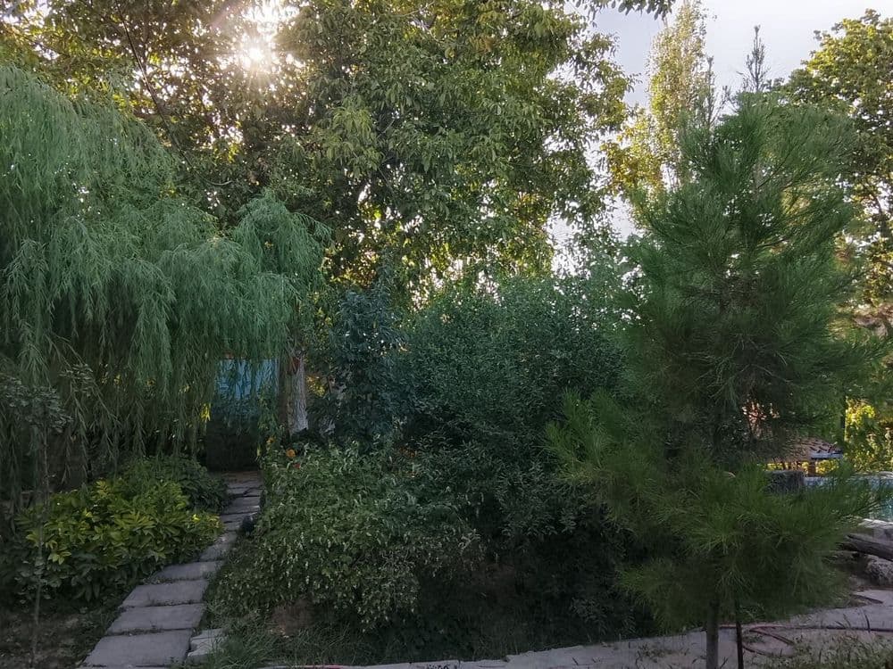 Продаётся дача на на Пскентском районе — 3