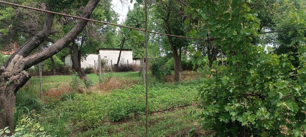 Продаетс участок 24 сотки. Янгиюль. Аккурган — 5