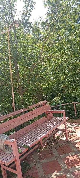Продаётся дача в Чарваке — 3