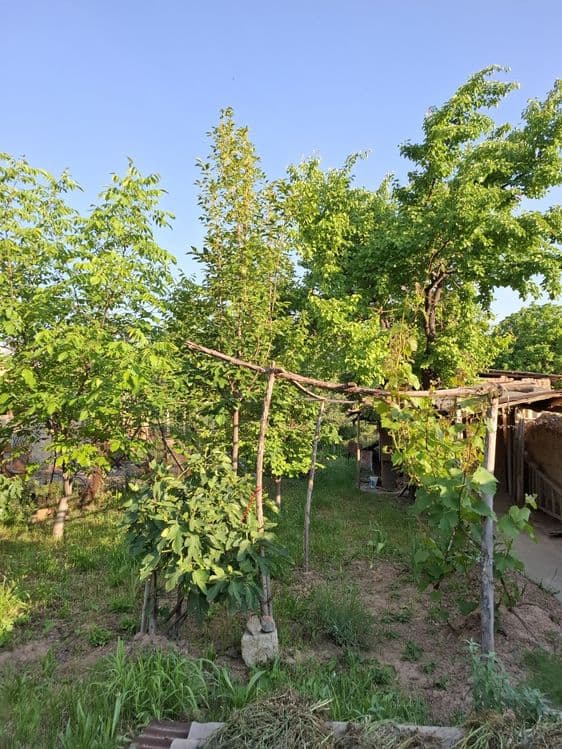 Срочна  продаётся дом — 2
