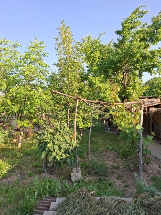 Срочна  продаётся дом — 3