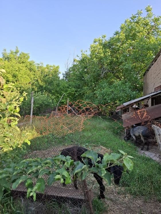 Срочна  продаётся дом — 5