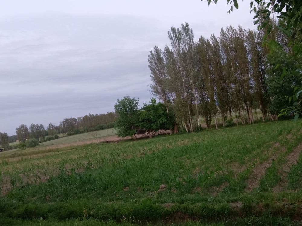 Hovli uy sotiladi — 5