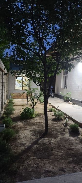 Срочно срочно сотилади — 1