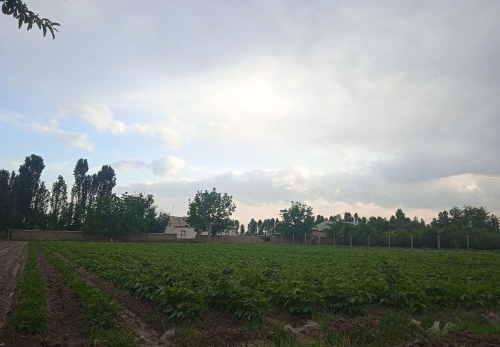 Hovli uy sotiladi — 7