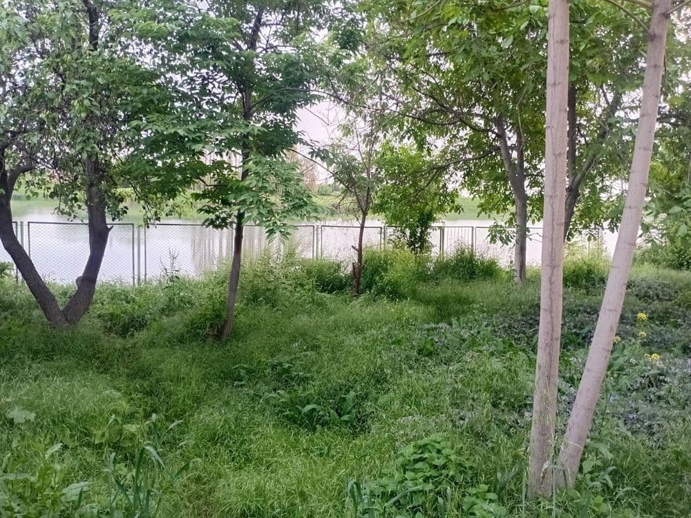 Продаю дом мечты у воды Ташморе — 3