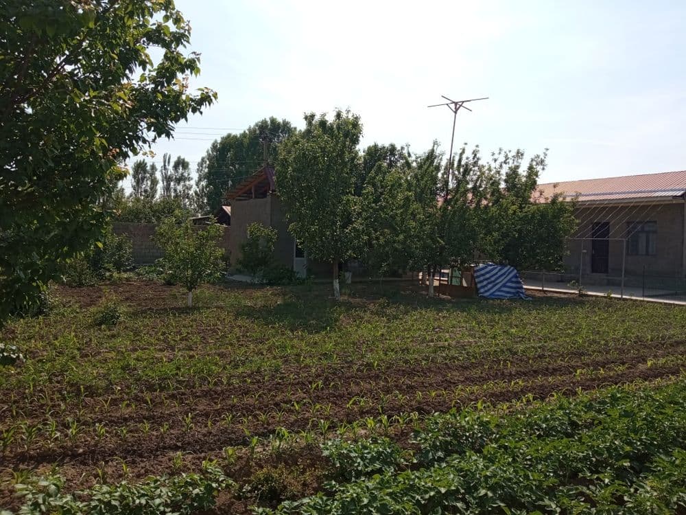 Бостонлык Янги Аул, 10 соток — 4