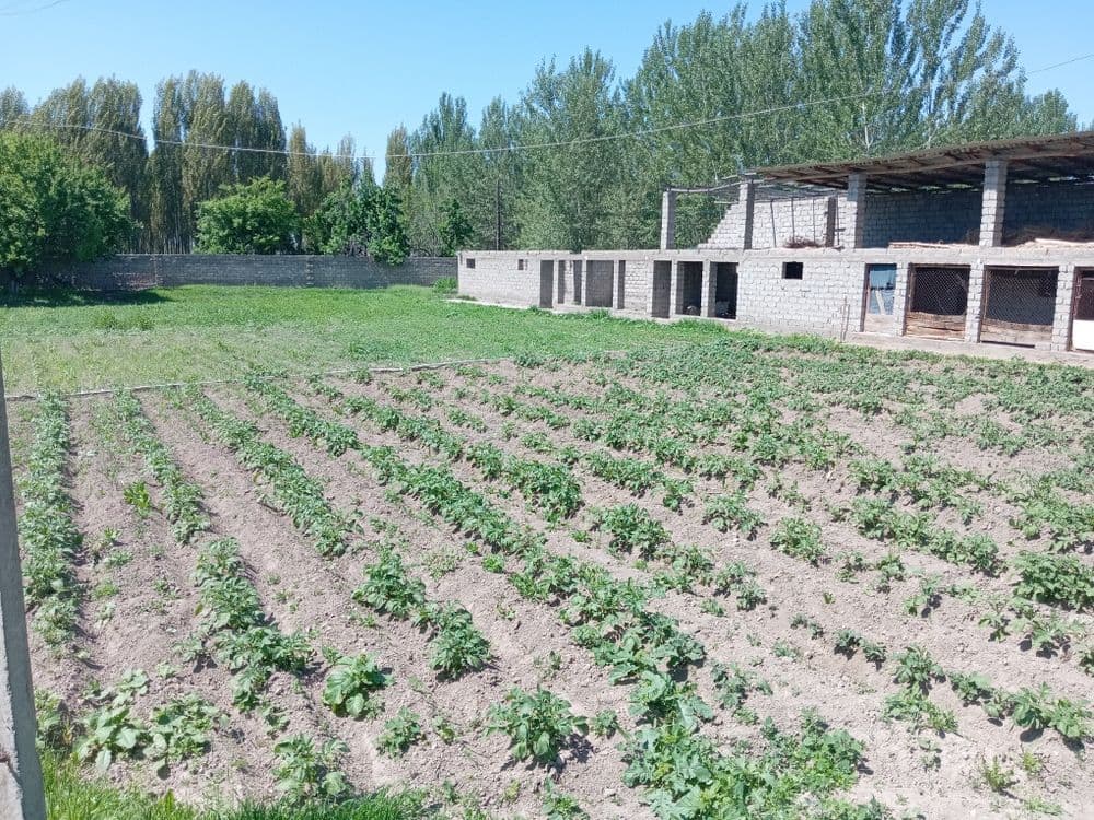 Srochni 24 sotux 2 xonali xamma sharoyitlar bor xovli sotlad — 4