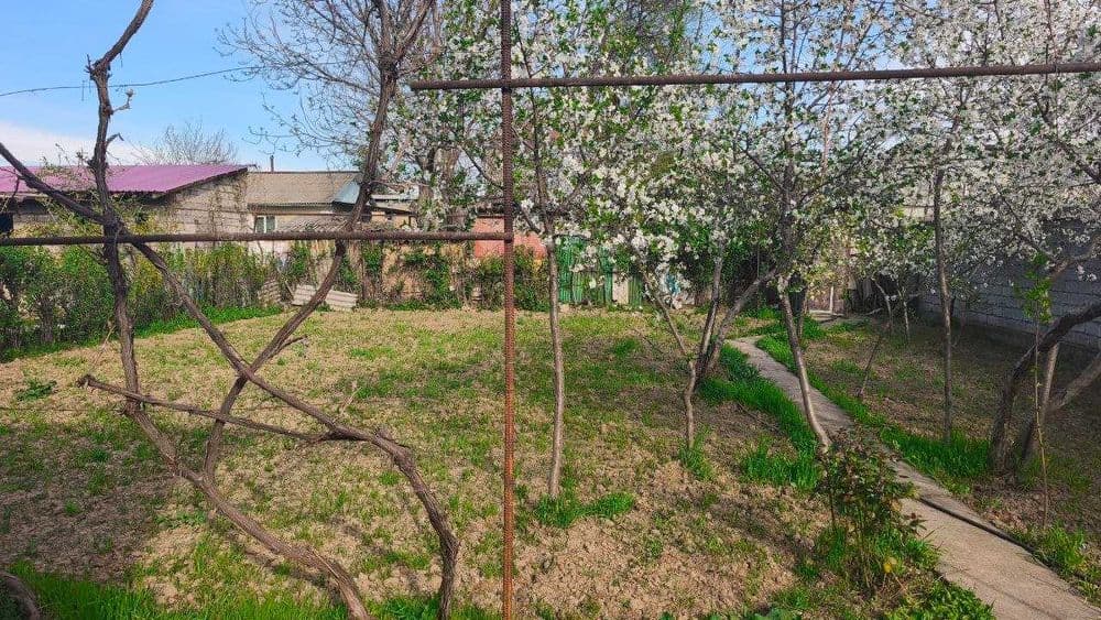 Продажа дачи в Паркенте — 2