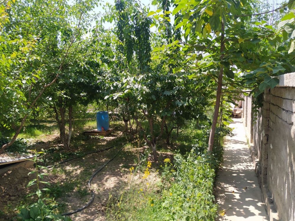 Продаётся своя дача Паркент — 4