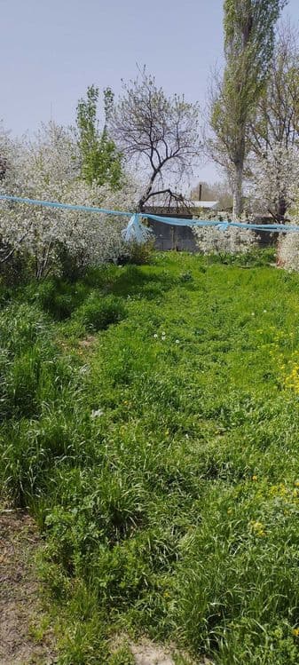Срочно продается дом Янгибазар рядом с центром — 5