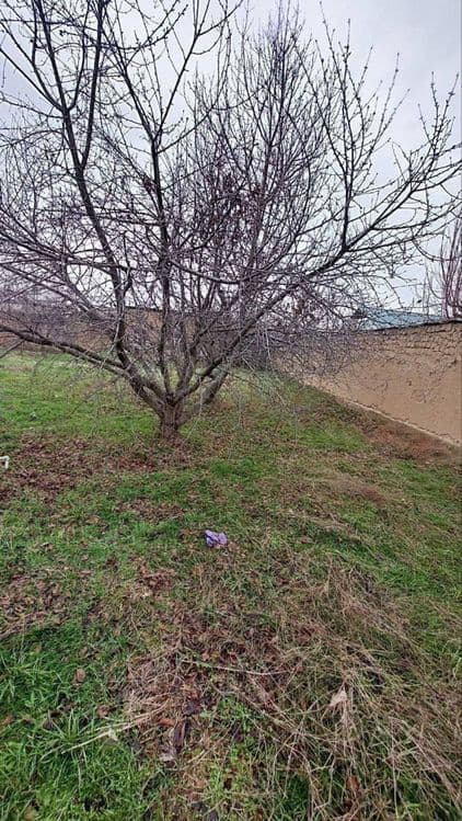 Продаётся участок 8 соток на районе Кибрай — 3