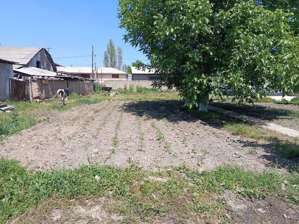 Участка сотилади 6 соток — 3