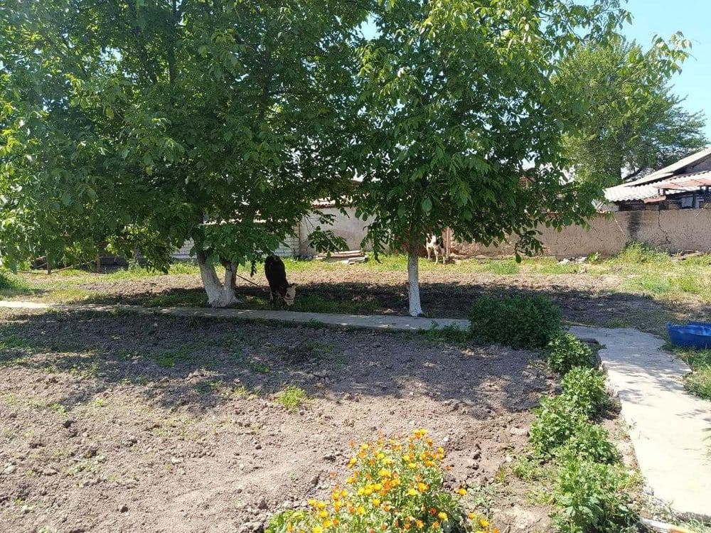 Участка сотилади 6 соток — 5