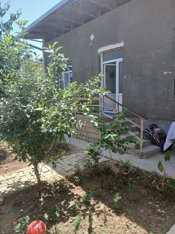 Keles Olmazor soylik 2 koʻcha — 1