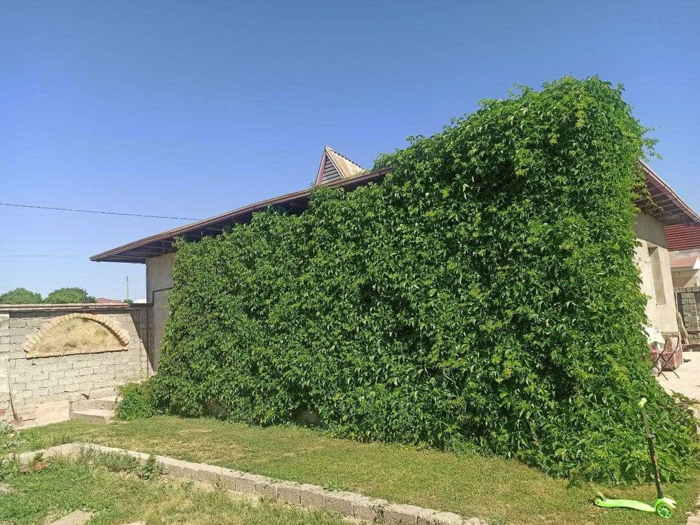 Продаётся загородный дом, 7.5 сот,Юкори-Чирчикский район, Нурли Замин — 4