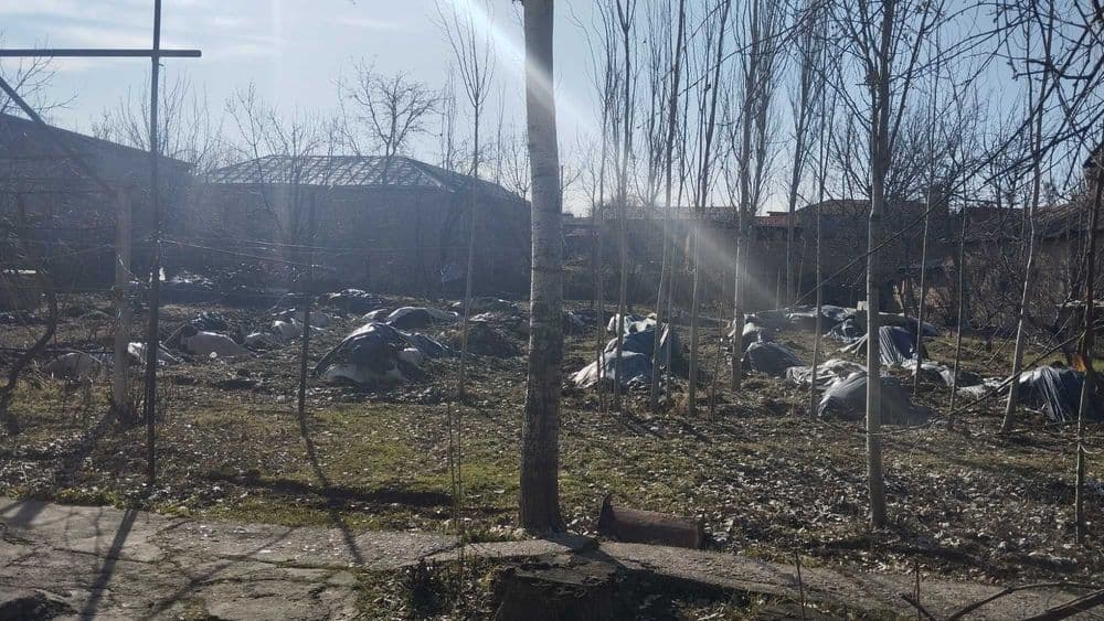 Уй сотилади Паркентда — 2