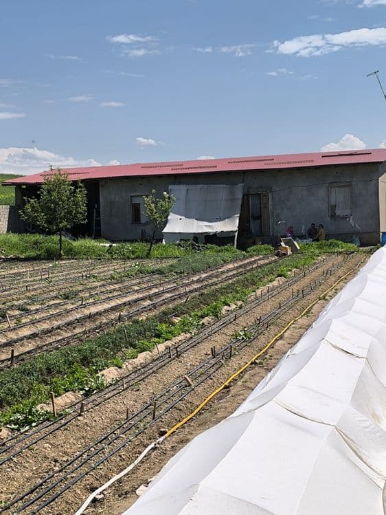 Продается дом 15 соток — 4
