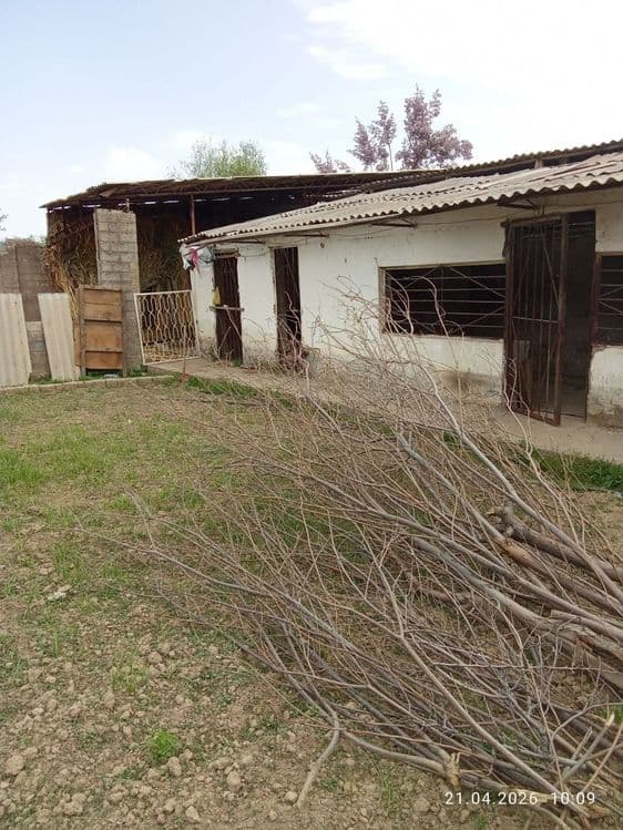 uy sotiladi srochno 10 sotiq 4 xona — 3