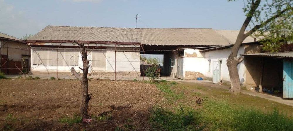 Zangi ota tumani Boz Suv Ximoyachi 8,5 soti — 3