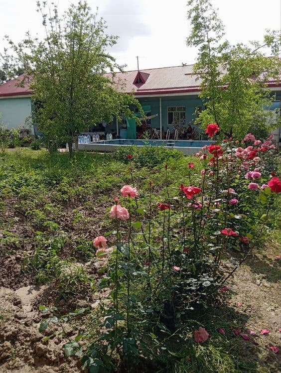 Продаётся уютная дача в Ташкентской области — 3