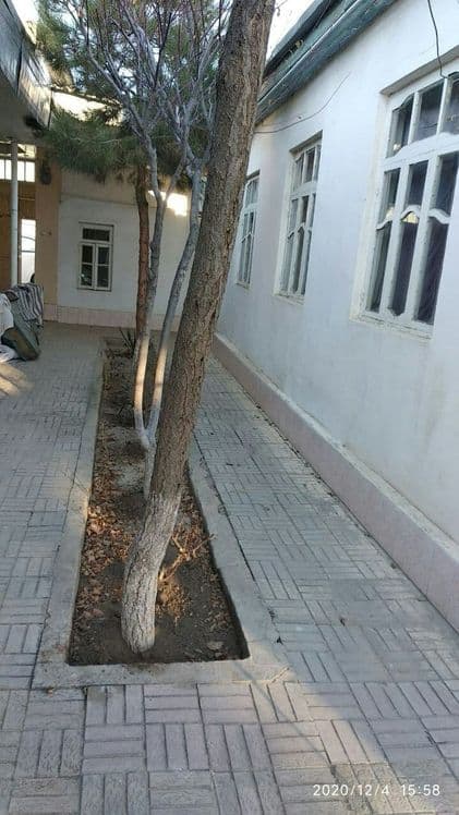 Продам свой дом в г.Навои. (6 соток) — 4